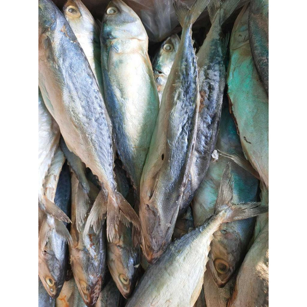 

Ikan Asin Peda Putih 250g