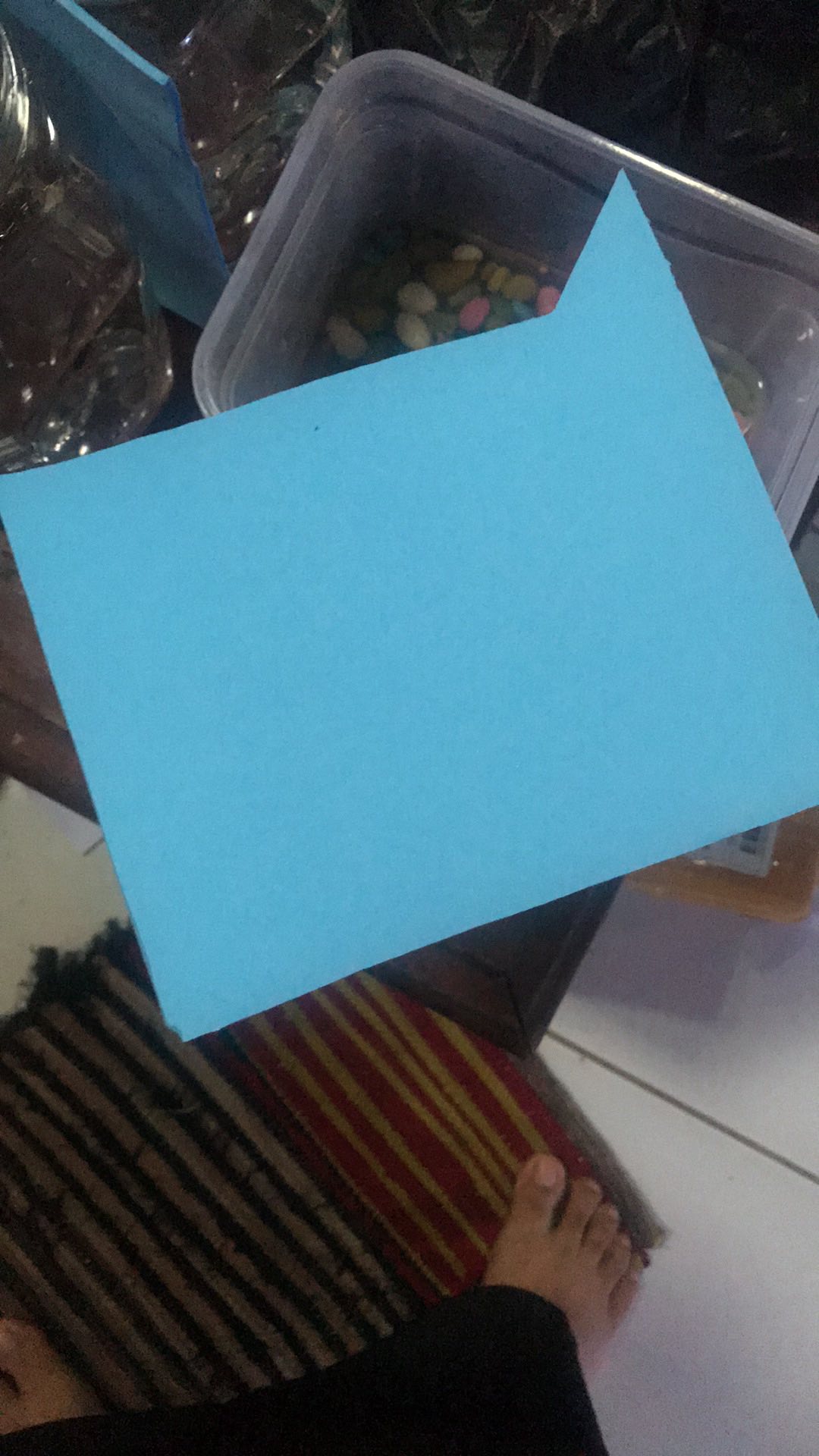 Skat Ikan Cupang Atau Pemisah Toples