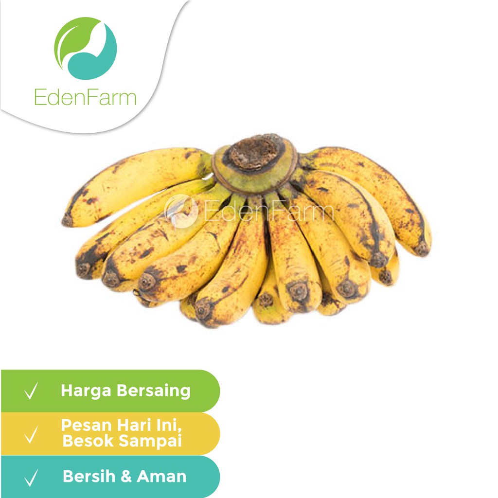 

Pisang Barangan Eden Farm 1 sisir