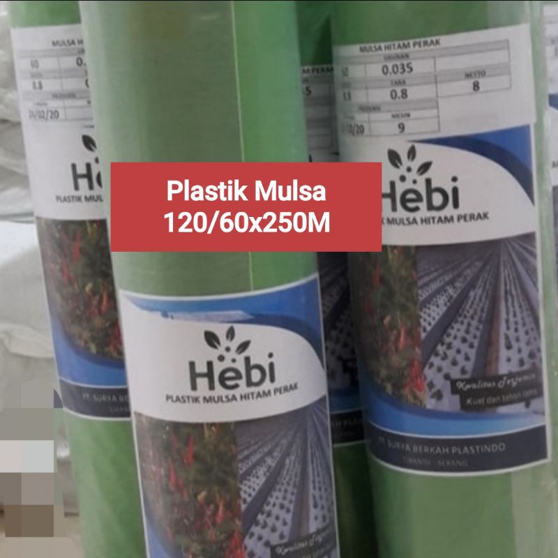 Plastik Mulsa Hitam Perak ukuran 120/60 x 250 M