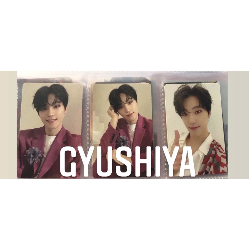 PC DINO FALLIN FLOWER