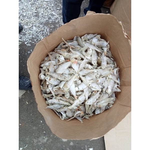 

ikan sampah kasai asli batu bara medan (kiloan)