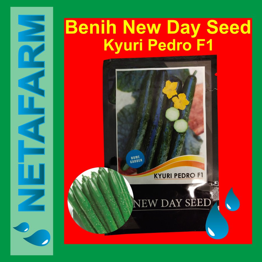 Biji / benih / bibit New Day Seed Kyuri Pedro F1 ( Timun )
