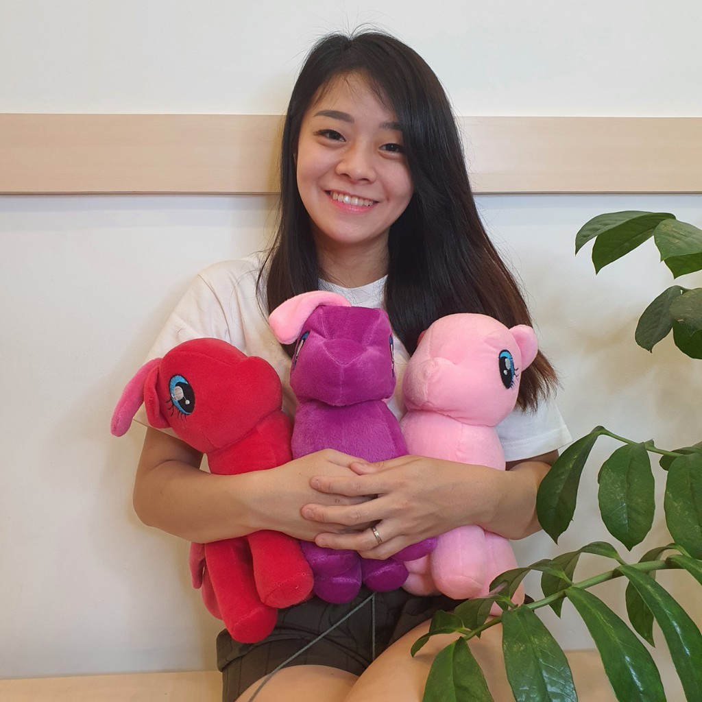 Boneka My Little Pony Kuda Poni Kecil Gemas