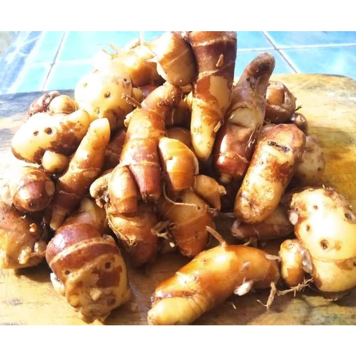 

1kg Kencur / Cikur Rempah Bumbu Fres