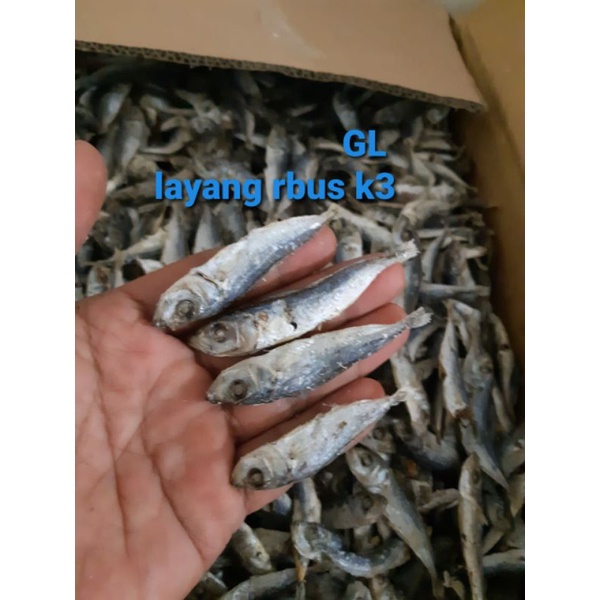 

layang rebus k3 1kg