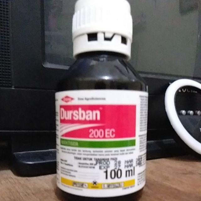 Dursban 200ec 100ml / Insektisida
