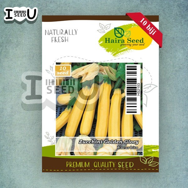 Bibit-Biji Zucchini Golden Glory (Haira Seed)