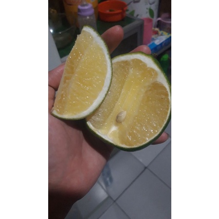 

1 KG LEMON HIJAU CALIFORNIA FRESH SUPER