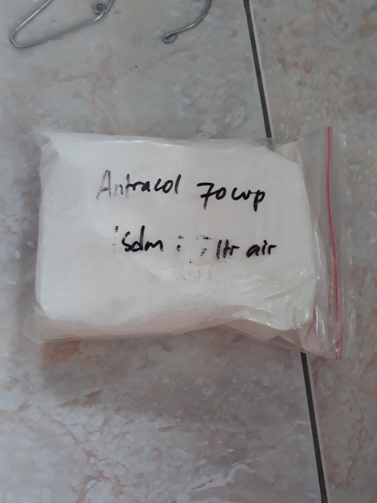 Fungisida Antracol 70wp  100 Gram