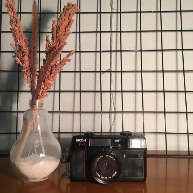 Kamera Analog Ricoh F-3