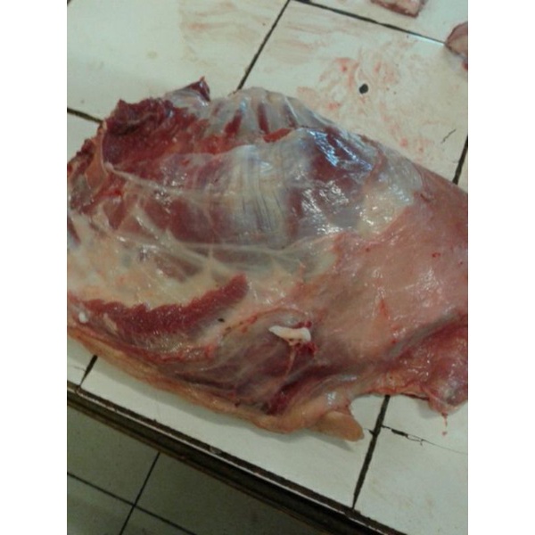 

iga kambing