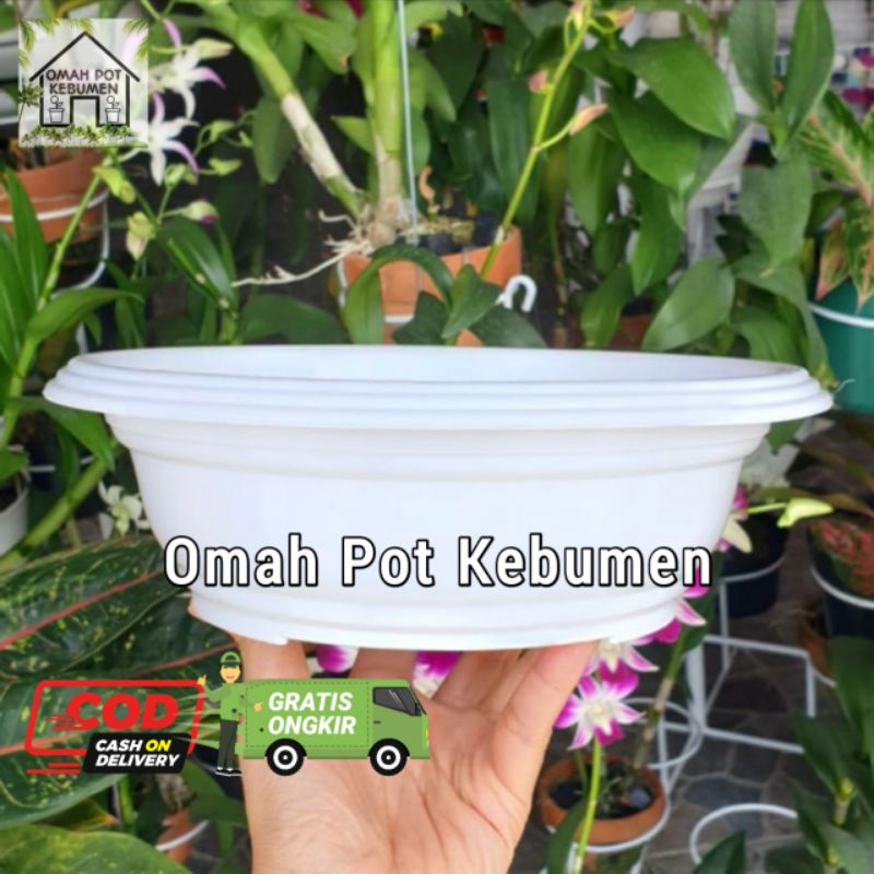 POT BONSAI CEPER POT PLASTIK CEPER BONSAI 25CM