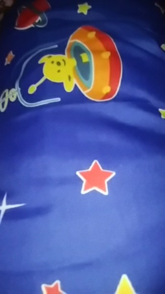 Cod Sarung Bantal / Guling Ecer / 1 Set Dewasa