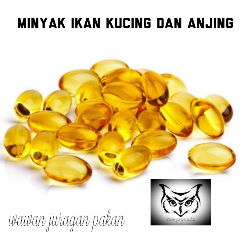 minyak ikan kucing dan anjing per 10 biji