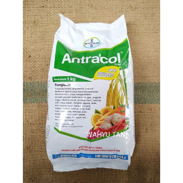 ANTRACOL 70 WP FUNGISIDA TANAMAN SAWAH KEBUN DAN TANAMAN HIAS
