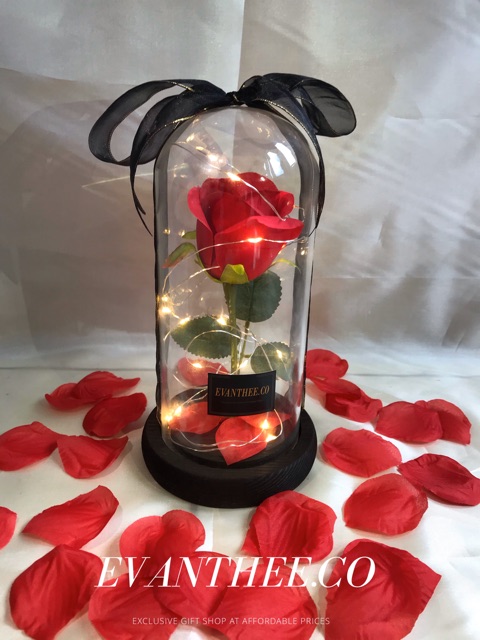 flower glass dome murah mawar abadi led beauty and the beast