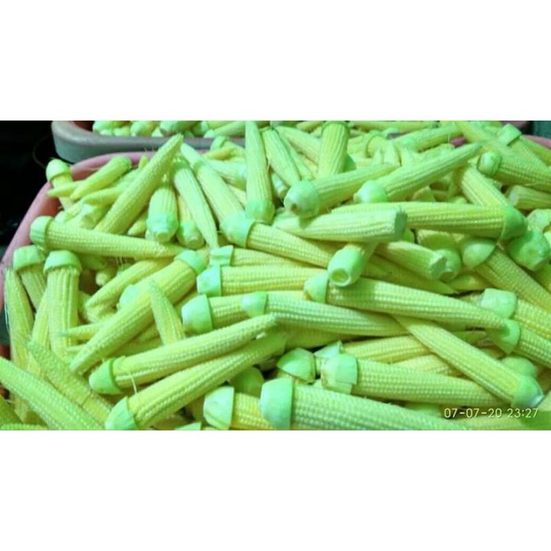 

Baby Corn/Jagung Putri/Tongkol Jagung Fresh 250gram