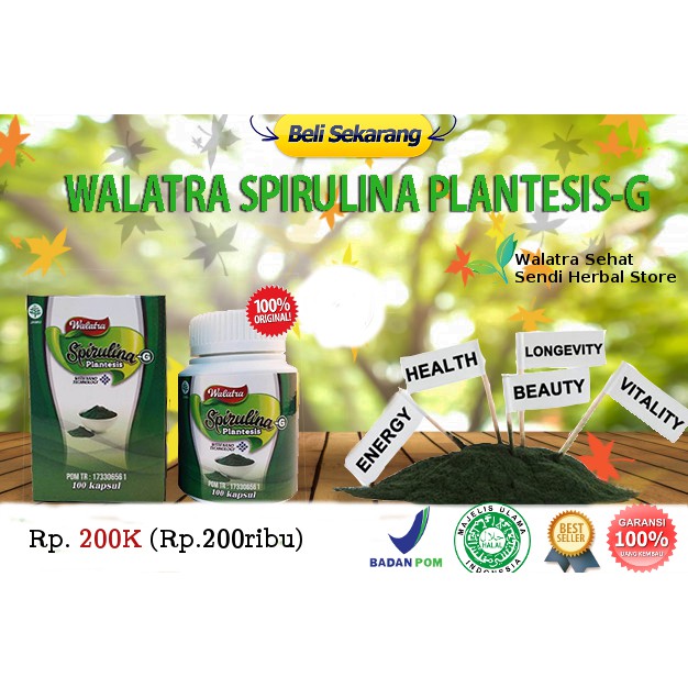 Obat Penggemuk Pipi Dan Badan Alami - Spirulina Platensis Kapsul Walatra
