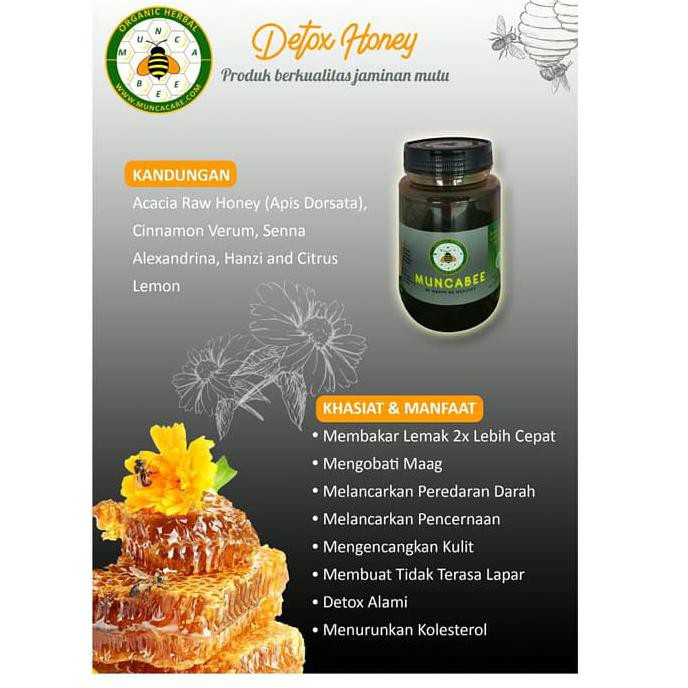 

Muncabee Detox Honey Madu Diet Langsing Alami Tanpa Gula
