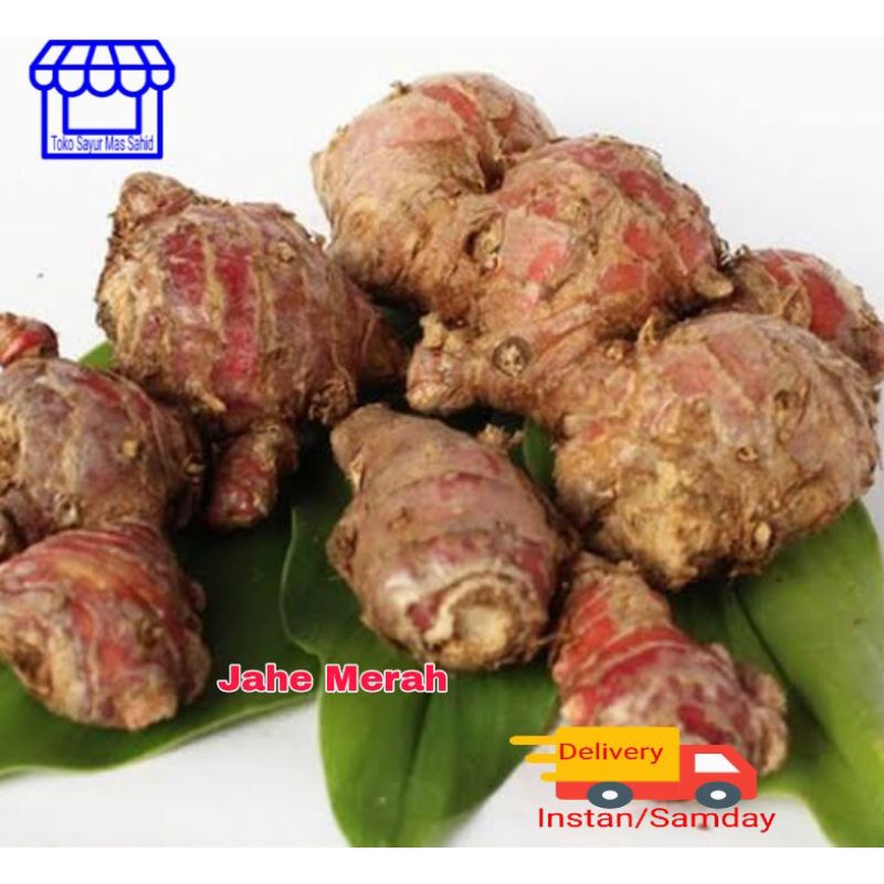 

Jahe Merah Murah 250 gram