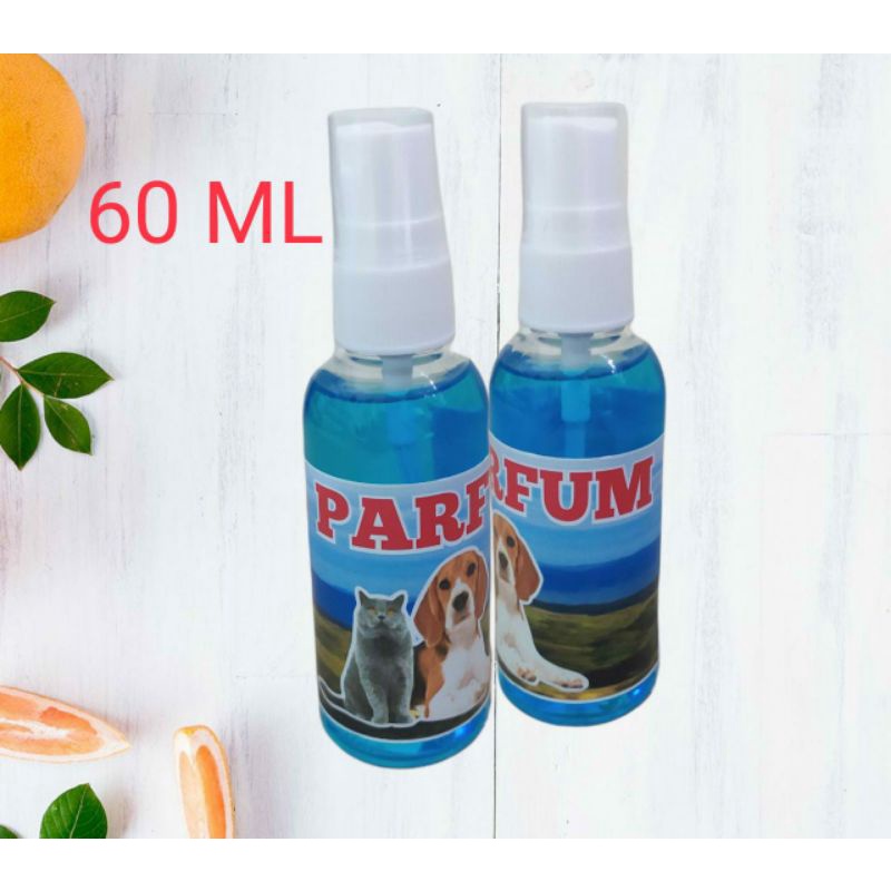 parfum kucing dan anjing aroma babble gum