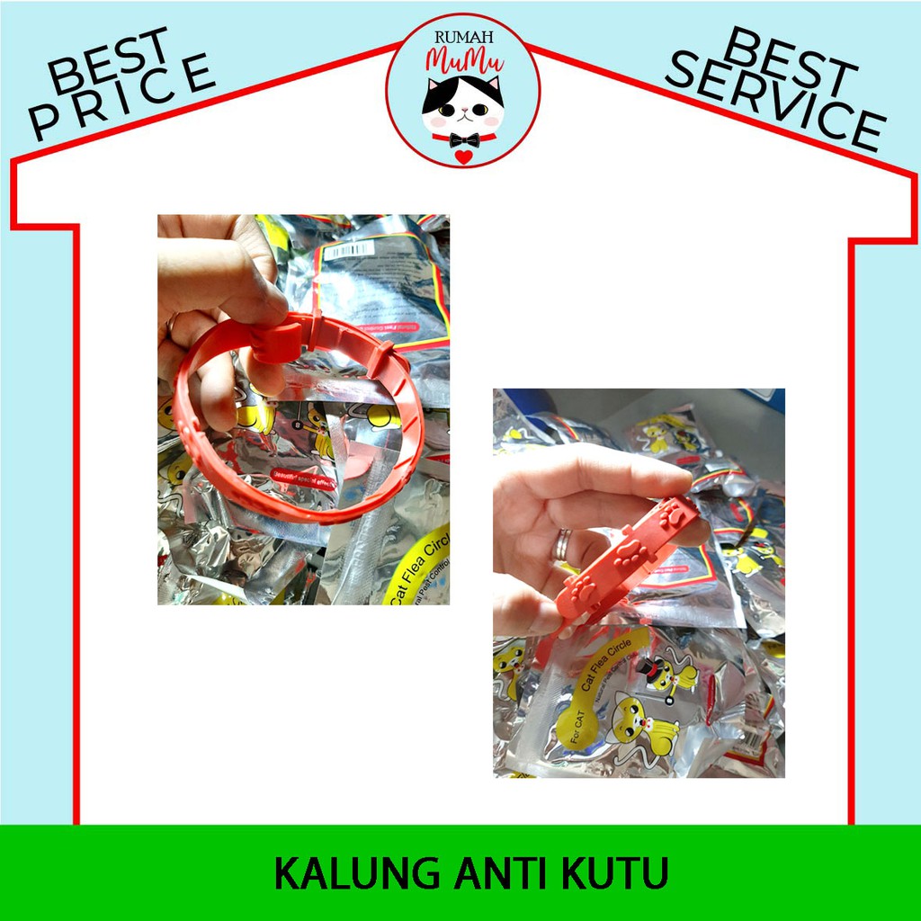 KALUNG ANTI KUTU KUCING ANJING MURAH AMAN