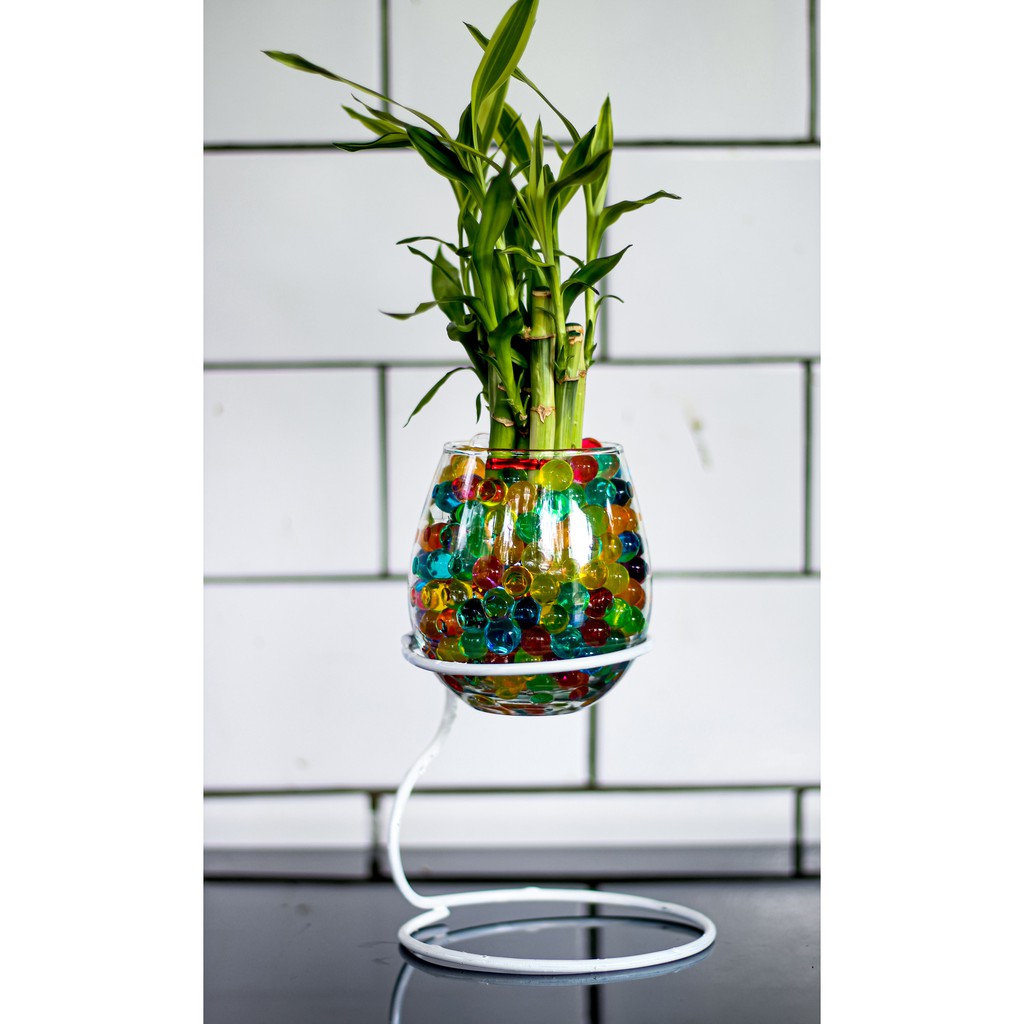 Vas Bunga Kaca Aquarium Ikan Cupang Pot Gelas Tanaman Air Aquascape Glass Tank Bambu Hoki Dekorasi