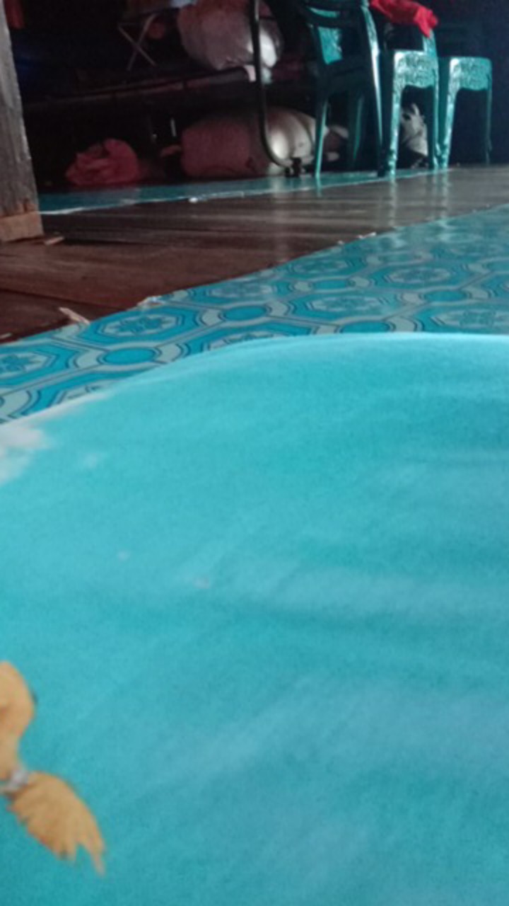 Maura Couple - Sania Ruffle Batik Couple Ori Ndoro Jowi Dnt Garansi Termurah Shopee Selendang Merak