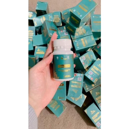 PAKET*USAHA*HIBOOS*(3 PCS)/PELANGSING BPOM/SUPLEMEN PELUNTUR LEMAK/ PENGHALANG LEMAK/ PELUNTUR KEMAK