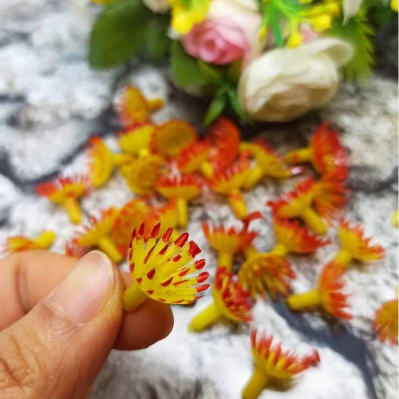 24 pcs Putik Sakura Putik Plastik putik bunga plastik Putik Bunga B Putik Plastik