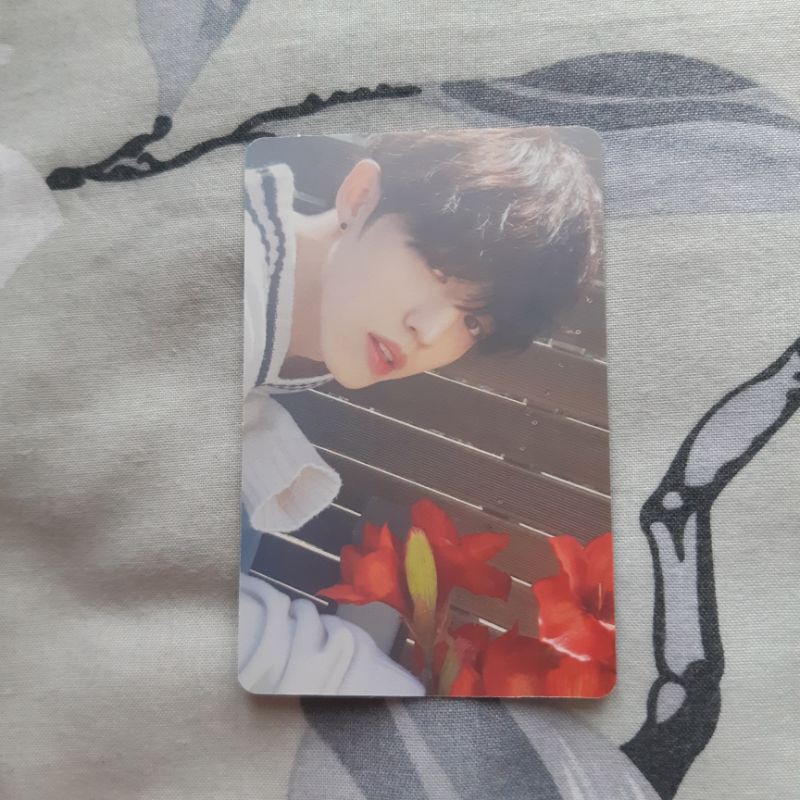 (booked) SCOUPS Teen Age
