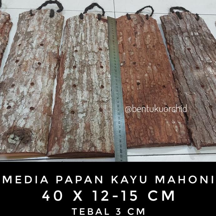 favorit] Media Tanam Tempel Kayu Mahoni/Media Tanam Tanduk Rusa/Media Anggrek