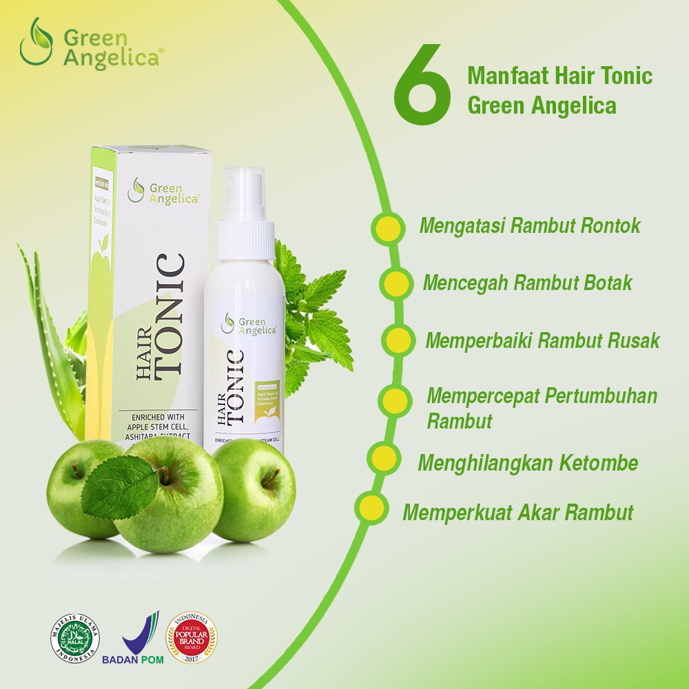 GREEN ANGELICA PAKET PENIPISAN PARAH / GREEN ANGELICA PAKET COMBO SATU