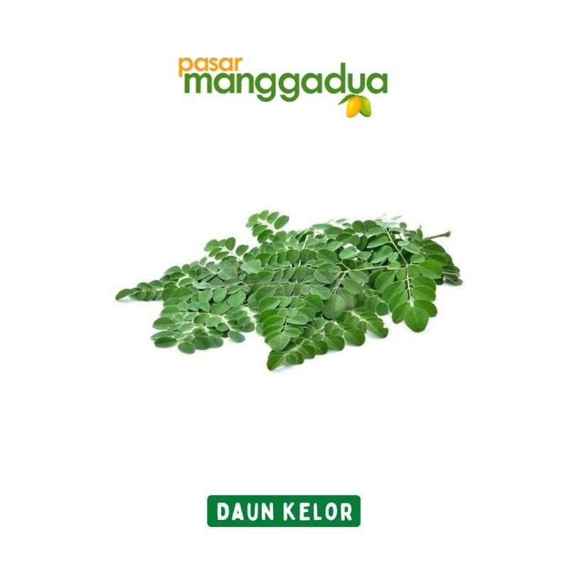 

Daun Kelor Per Ikat / Produk langka