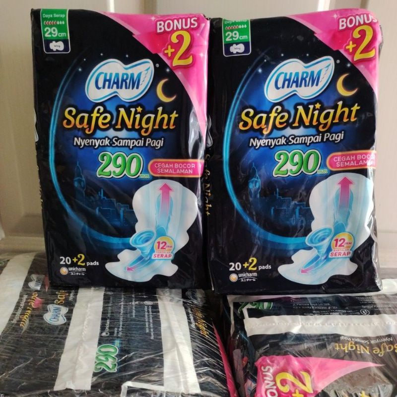 CHARM SAVE NIGHT WINGS 20+2 PEMBALUT WANITA 29CM