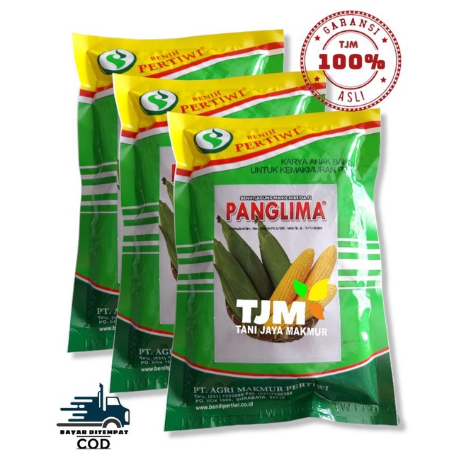 PANGLIMA 250g -+1750/Benih jagung manis unggul/bibit jagung manis super/bibit jagung manis/bibit jag