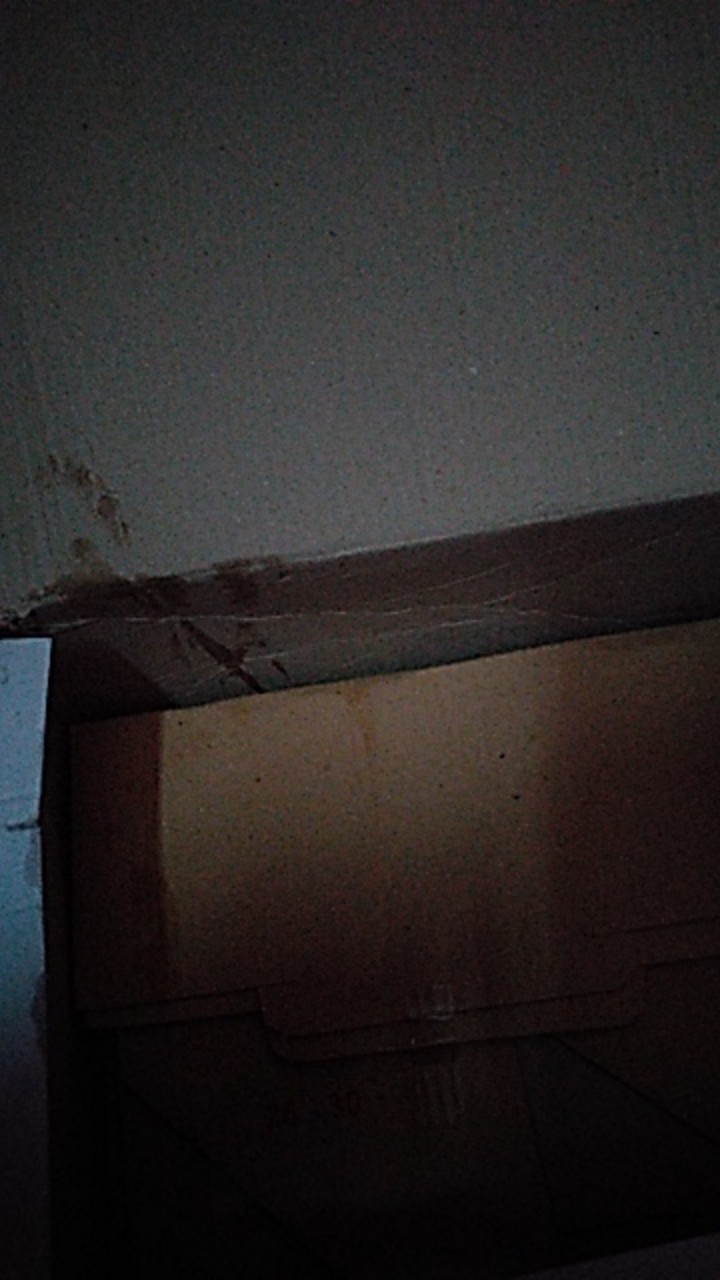 Dus Sepatu 31-35/ Universal