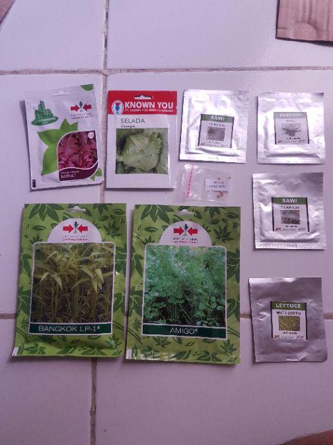 Benih Seledri Amigo Panah Merah Pack 10.000 benih | Shopee