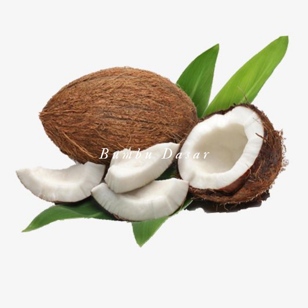 

Bumbu Dasar - Buah Kelapa Tua
