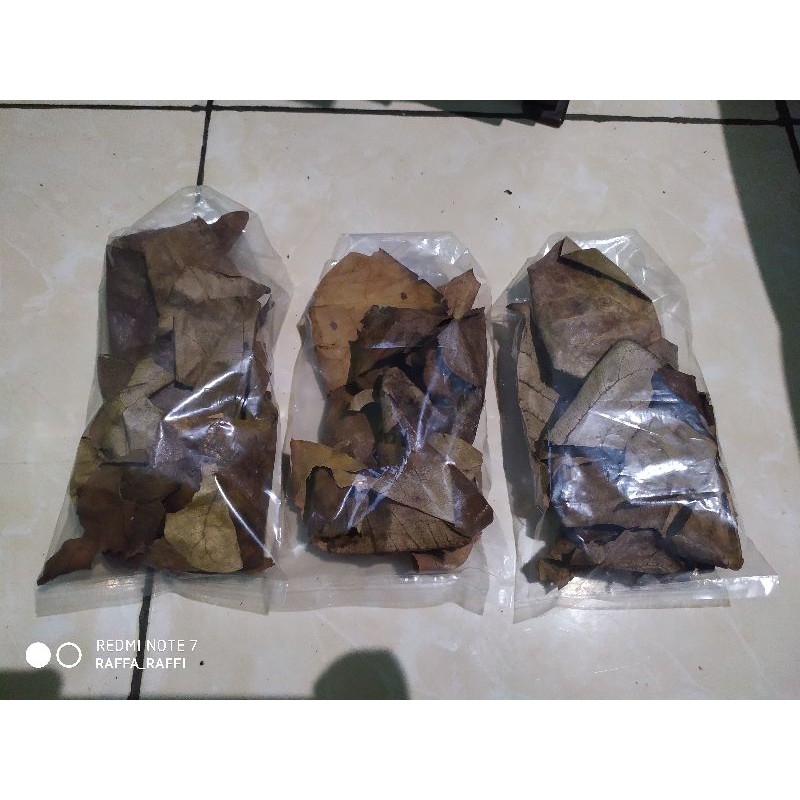 

Daun ketapang olahan