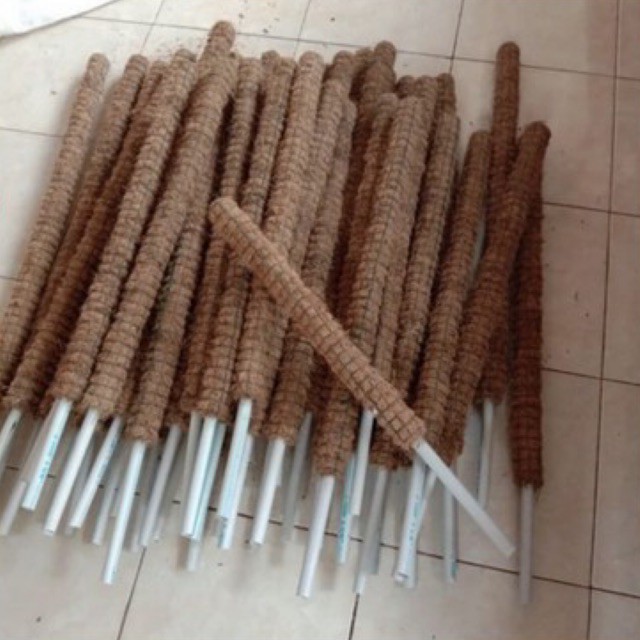 Turus penyangga 70cm -turus