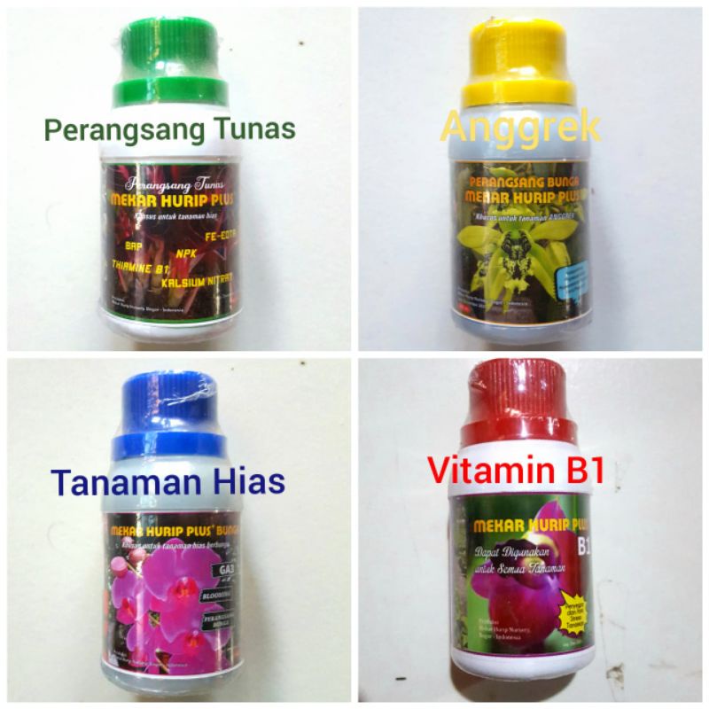 Mekar Hurip Plus Tunas / Anggrek / Tanaman Hias 100ML