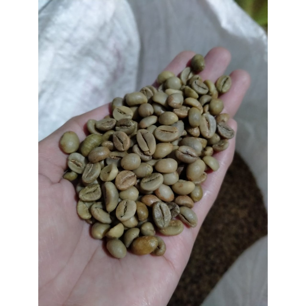 

1kg kopi robusta GRADE 1 SORTIR Greenbean Robusta Dampit biji kopi mentah TERBAIK