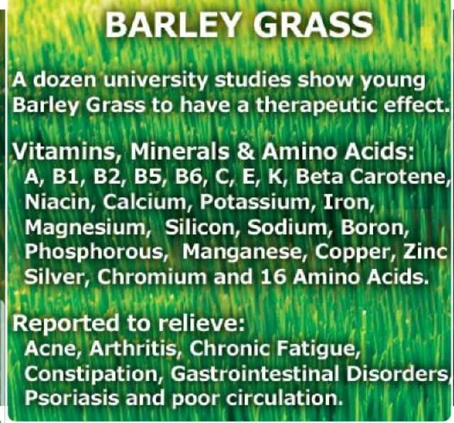 Barley Grass Powder 25 g / Ingredients Cosmetics