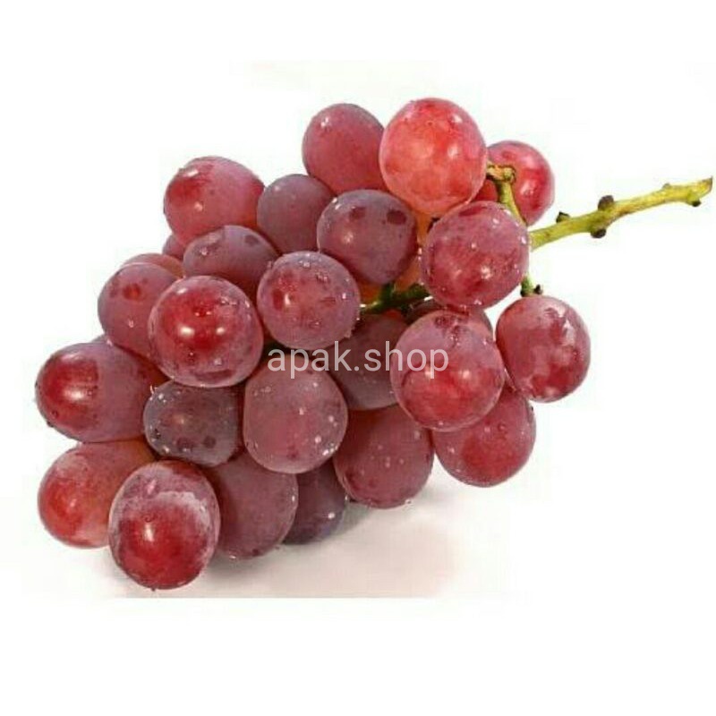 

Buah Anggur Merah 500 gr | Fresh Fruit