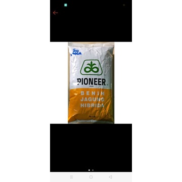 bibit jagung pionner p32 singa