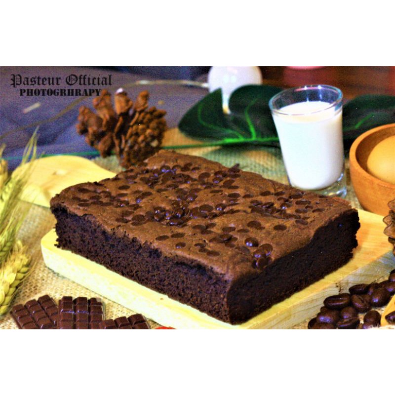 

Brownies fudge Pasteur