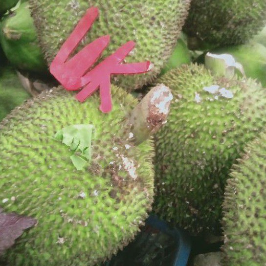 

Buah Kluwih Buah Klewi