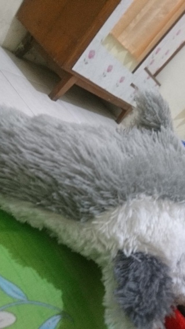 Celana  Jogger Anak Panjang Laki Laki Perempuan Model Trening Training Olahraga